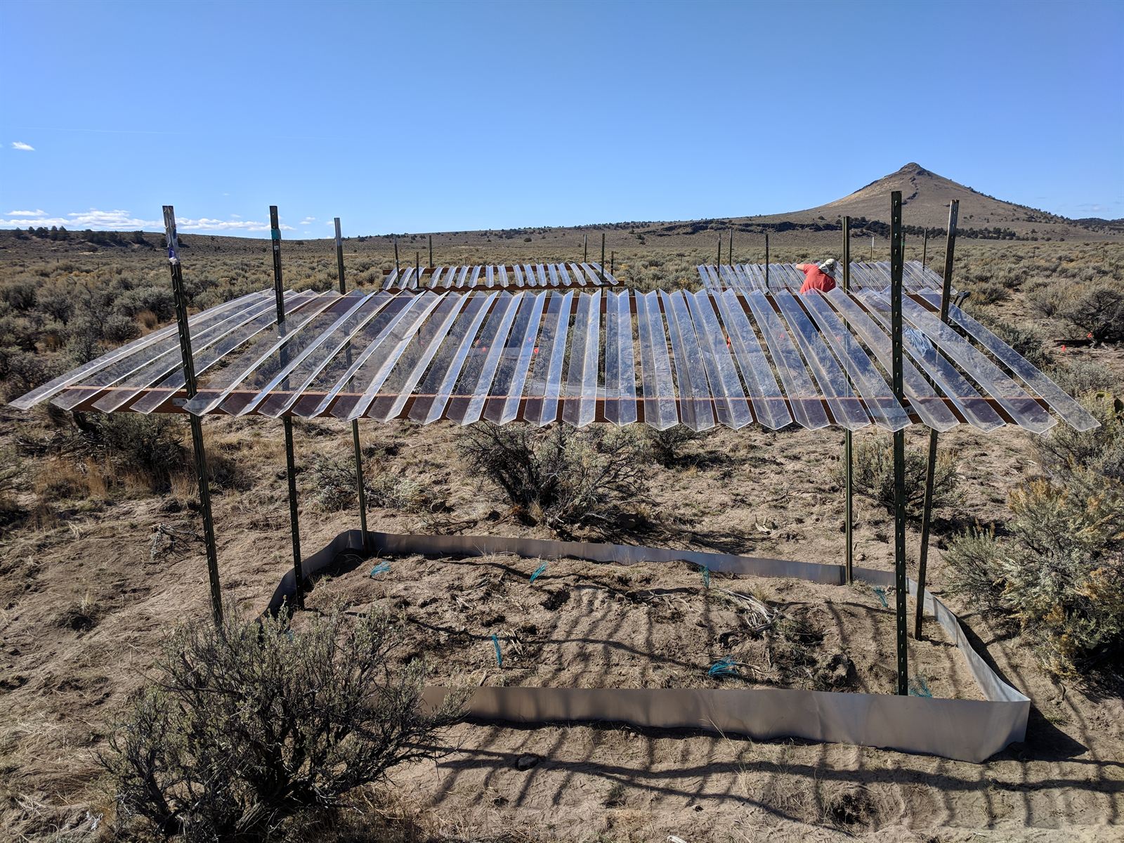Field experiment at the Northern Great Basin Experimental Range, OR.